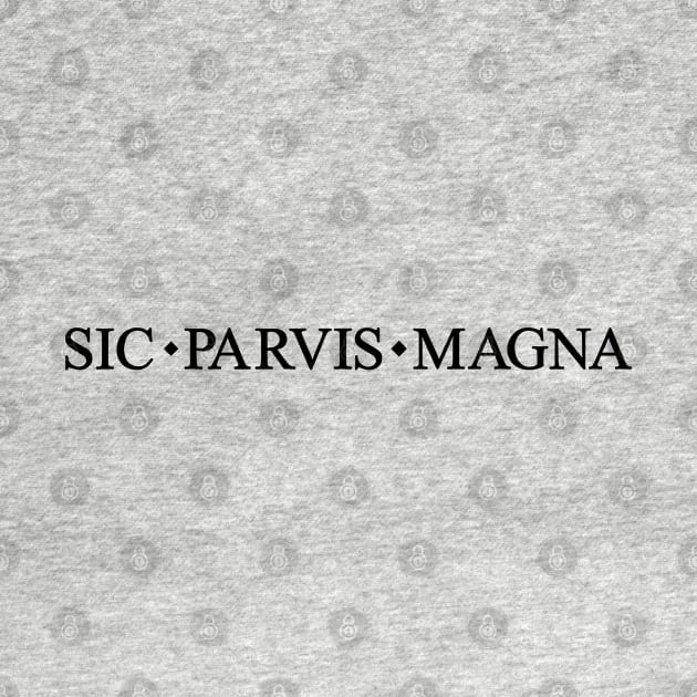 Sic Parvis Magna Uncharted by Anthonny_Astros